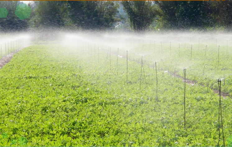 Đưa công nghệ vào đồng ruộng giúp nông dân giảm công lao động, tăng hiệu quả sản xuất (Ảnh TL).