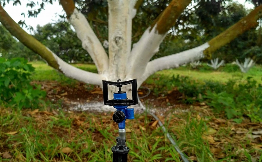 Sử dụng hệ thống tưới tiết kiệm được nhiều HTX ở Sa Thầy áp dụng.