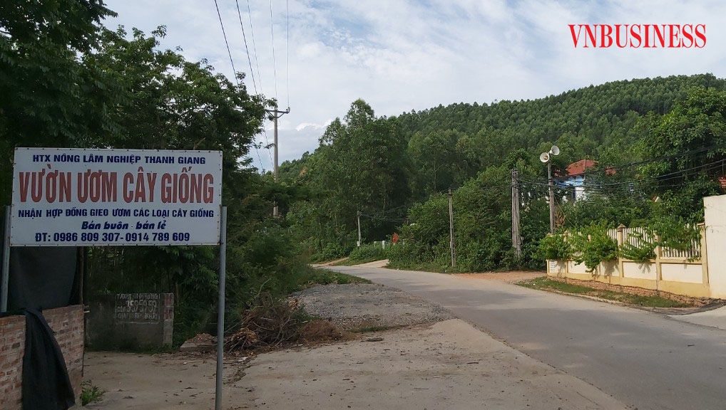 HTX nông lâm nghiệp Thanh Giang cùng với chính quyền địa phương góp phần trong công tác bảo vệ và phát triển rừng tại địa phương