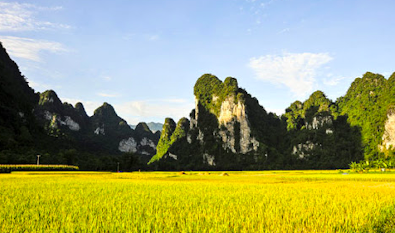 Huyện Lâm Bình có nhiều lợi thế để phát triển cây trồng vật nuôi, cây lâm nghiệp và du lịch cộng đồng.