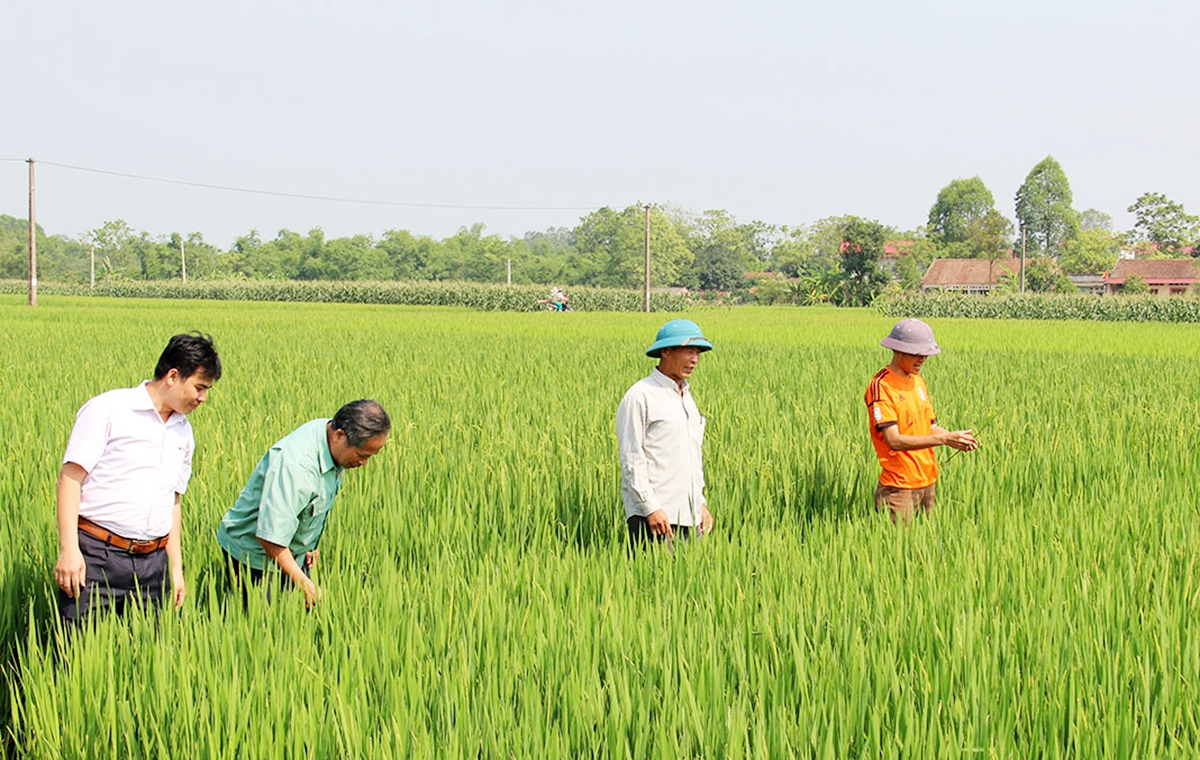 Đồng bào công giáo trên địa bàn tỉnh Bắc Giang đang triển khai phong trào sản xuất giỏi.