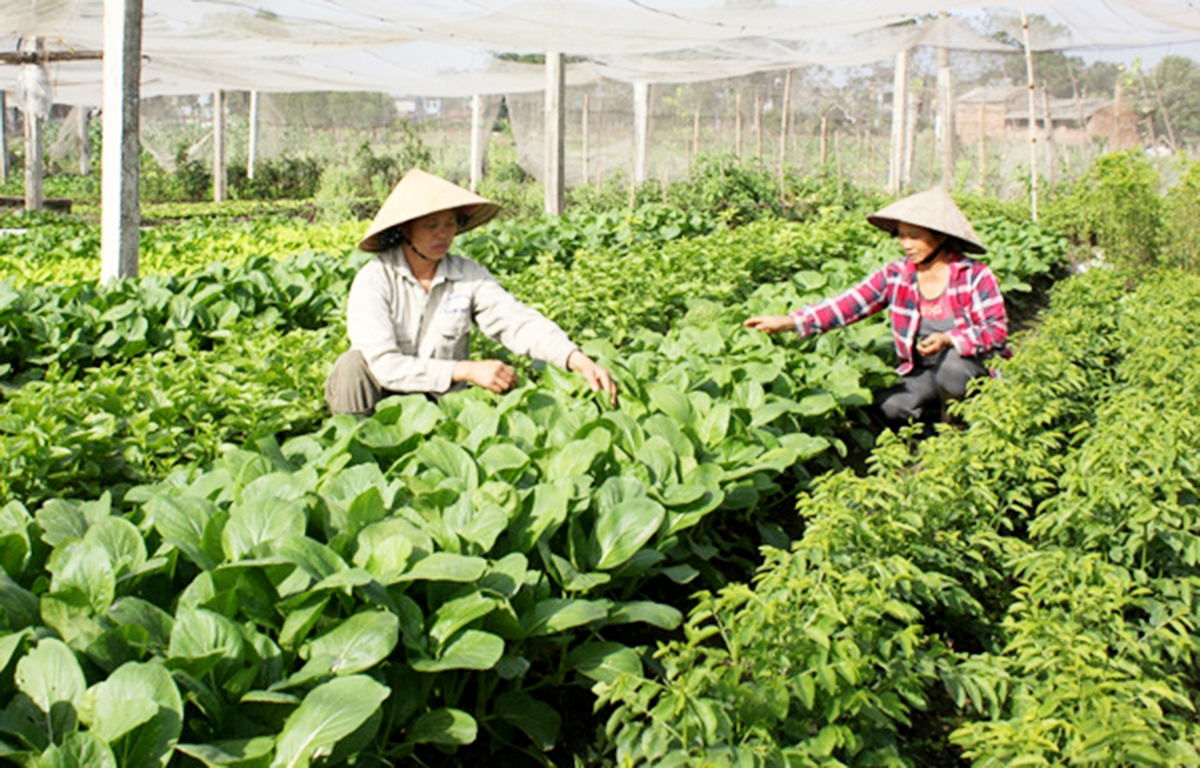Đời sống vật chất, tinh thần được đảm bảo giúp đồng bào công giáo sống tốt đời, đẹp đạo.