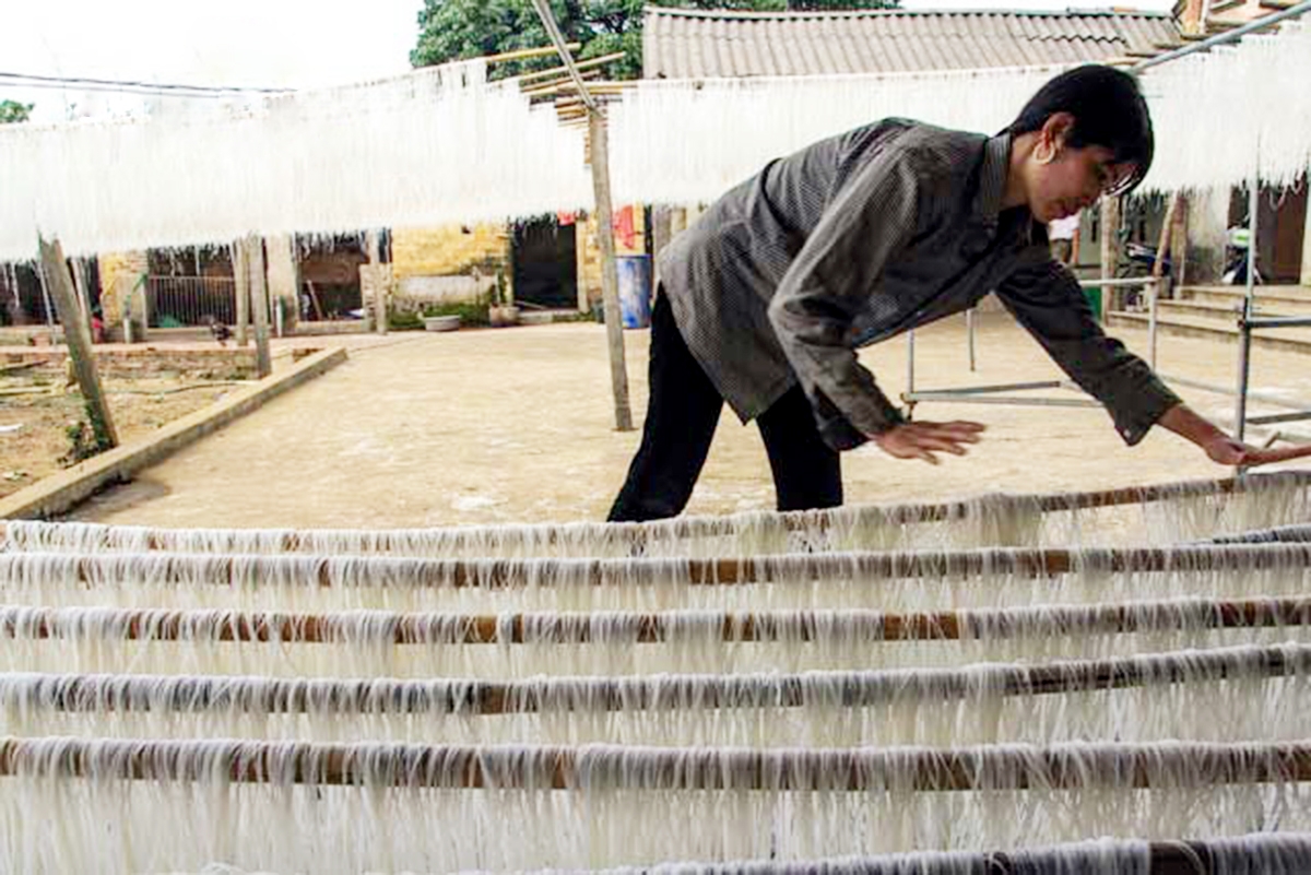 Chị Nguyễn Thị Hằng và HTX mì gạo Quế Hằng Châu Sơn đang là điển hình sản xuất ở địa phương.