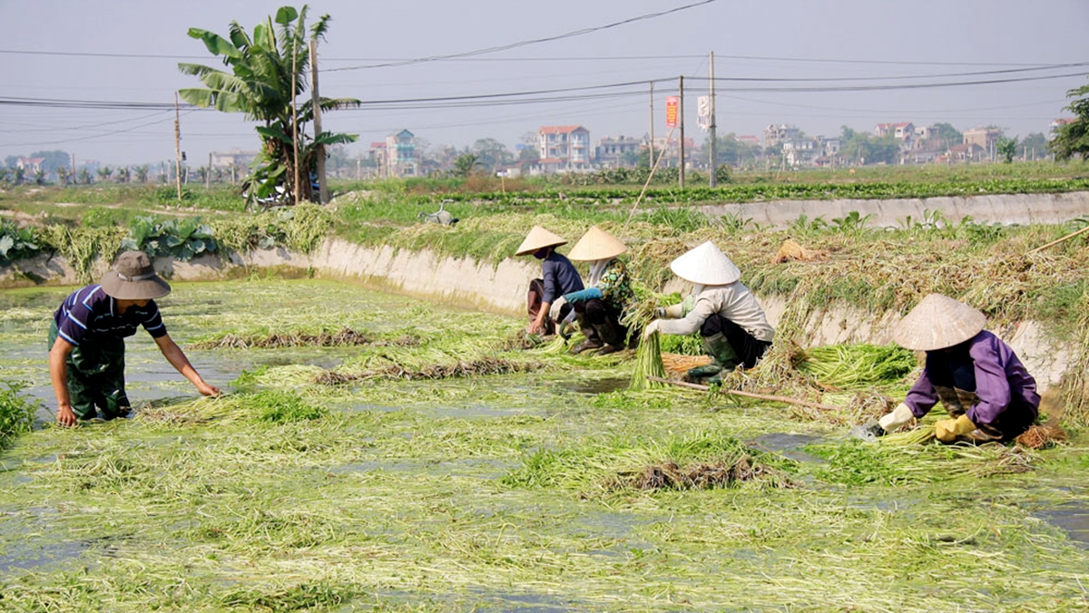 Nông thôn mới vùng công giáo ở Bắc Giang có mục tiêu cốt lõi là nâng cao đời sống cho người dân.
