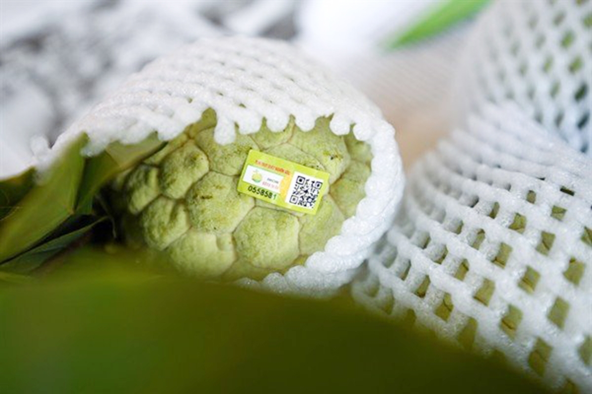 Việc được dán tem truy xuất nguồn gốc giúp sản phẩm na dai Đông Triều thuận lợi về tiêu thụ (Ảnh TL).