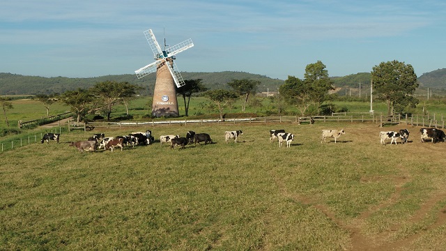 Các hoạt động thực hành ESG luôn được Vinamilk chú trọng trong chiến lược sản xuất kinh doanh.