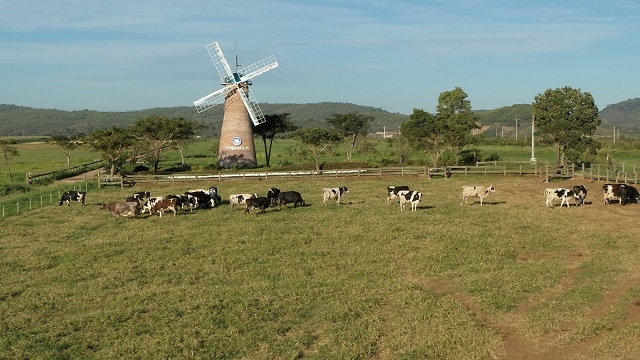 Các hoạt động thực hành ESG luôn được Vinamilk chú trọng trong chiến lược sản xuất kinh doanh.