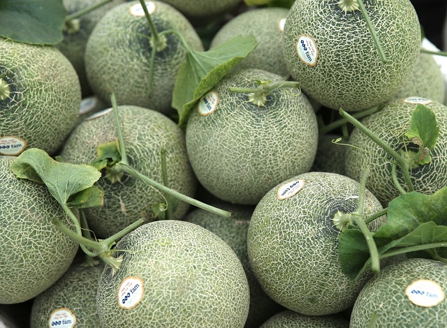 Dưa lưới được chuẩn bị để trao tặng tới đại diện các hộ dân xã Vĩnh Thịnh