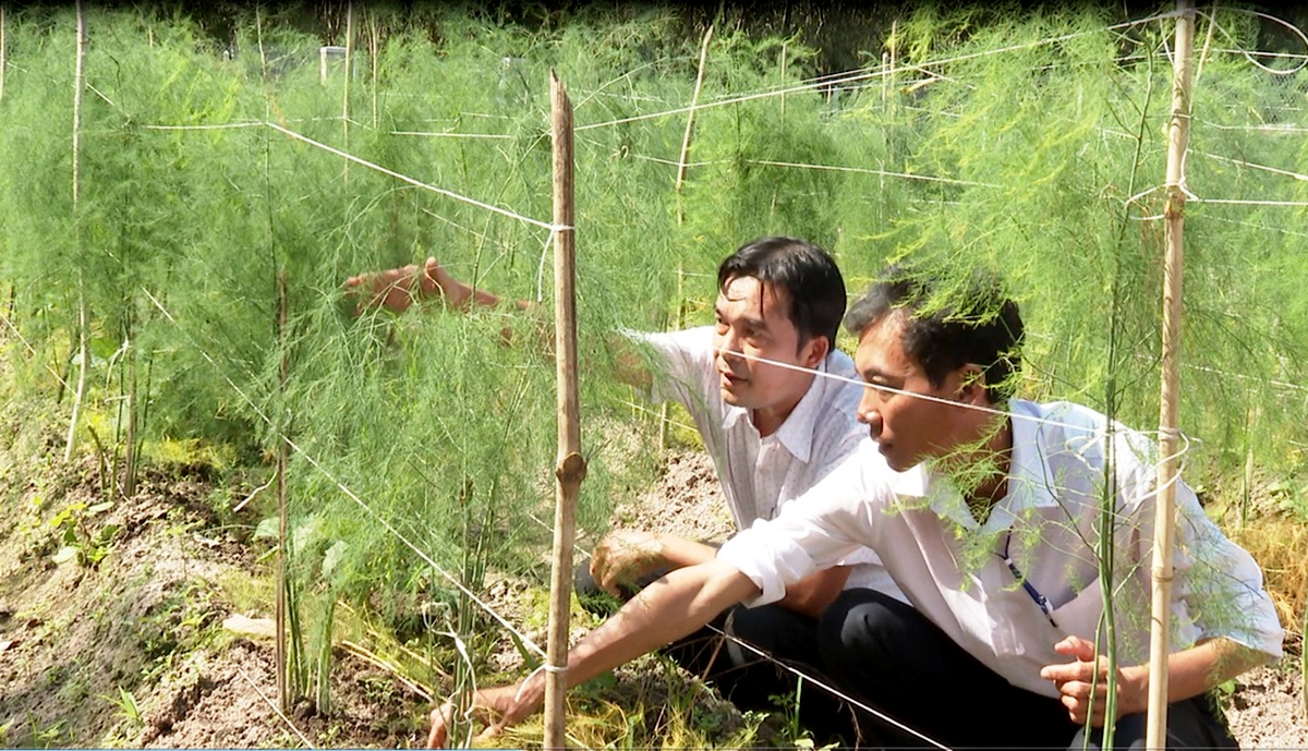 HTX Chà Là đang hoạt động hiệu quả, đào tạo nghề và tạo việc làm cho nhiều lao động. (Ảnh TL).