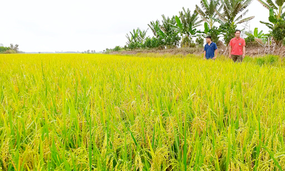 Sản xuất quy mô lớn, tuân thủ nguyên tắc an an toàn giúp gia tăng giá trị