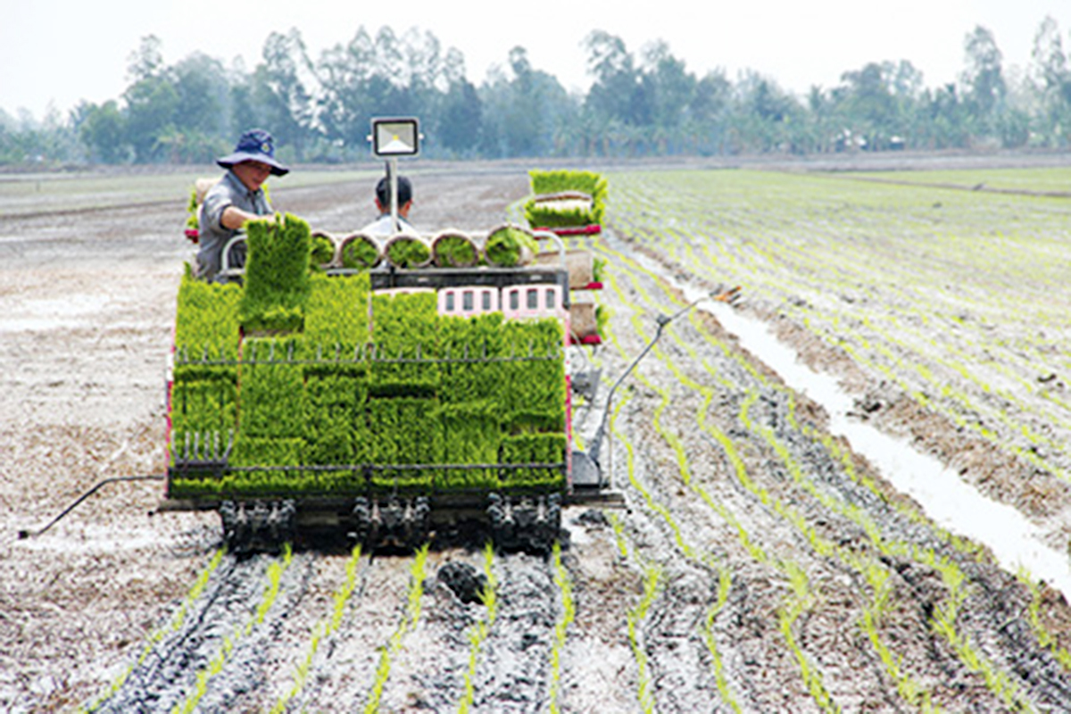 Xã sẽ tiếp tục đẩy mạnh khoa học - công nghệ, cơ giới hóa trong phát triển nông nghiệp. (Ảnh TL).