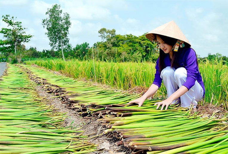 Lục bình là một trong những nguyên liệu thân thiện với môi trường khi sản xuất thủ công mỹ nghệ.