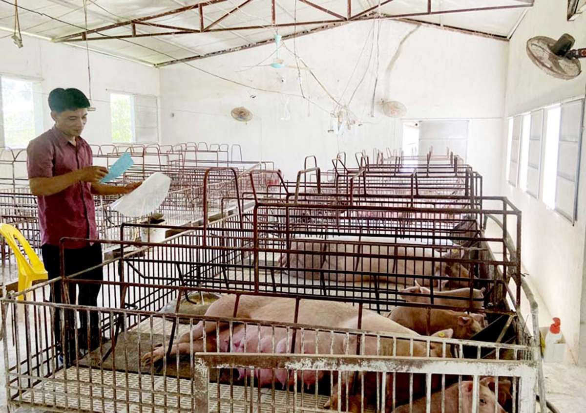 Dạy nghề hiệu quả tạo thêm cơ hội việc làm cho người dân khu vực nông thôn (Ảnh TL).