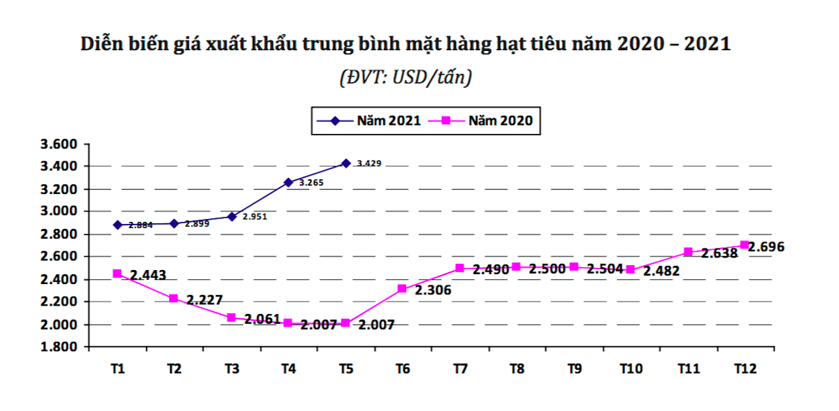 Giá xuất khẩu trung bình mặt hàng hạt tiêu có xu hướng tăng mạnh trong năm 2021.