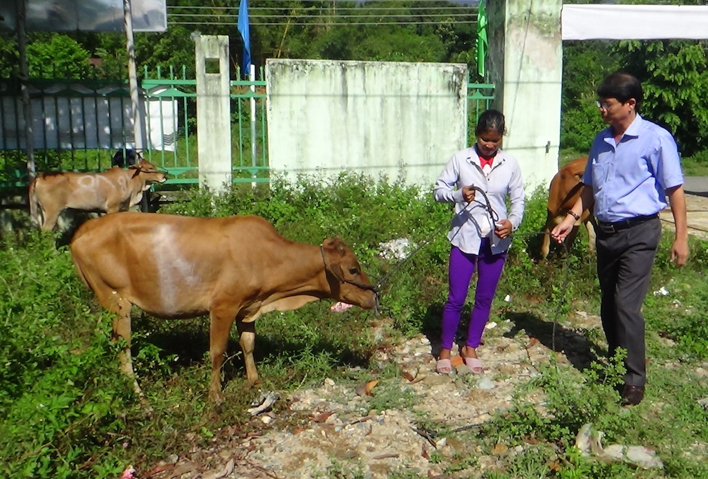 Huyện Khánh Vĩnh đang nâng cao nhận thức cho đồng bào Raglai về phát triển chăn nuôi theo hướng tập trung.