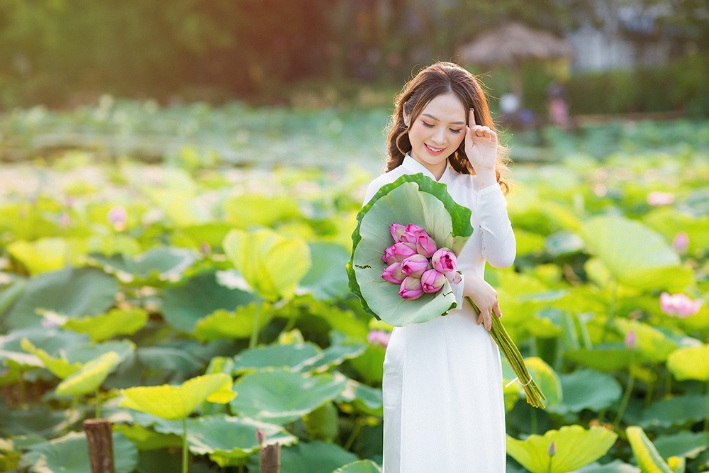 20ha sen của HTX đã tạo cảnh quan, môi trường xanh, sạch, đẹp cho khách tham quan du lịch.