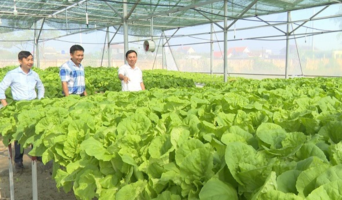 Bố Trạch đang quan tâm đào tạo cả hai nhóm nghề nông nghiệp và phi nông nghiệp (Ảnh TL).