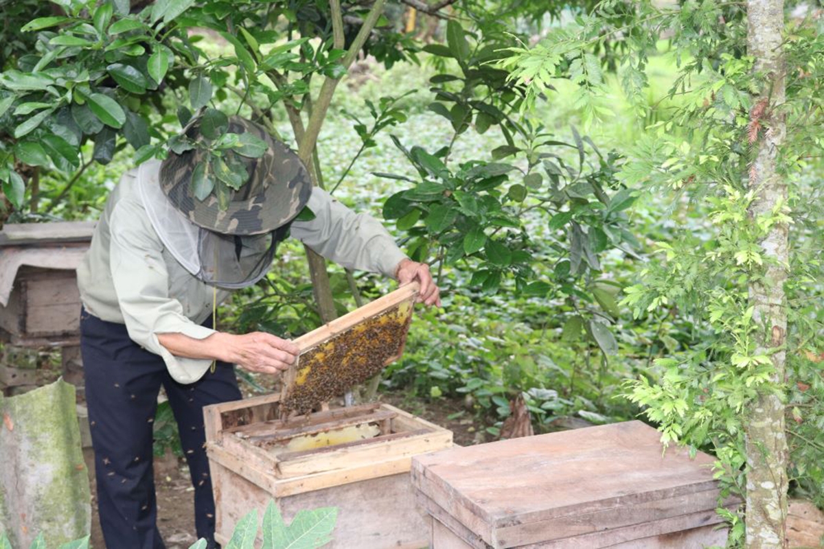 Người dân tự tin ứng dụng kỹ thuật vào sản xuất nhờ được học nghề (Ảnh TL).