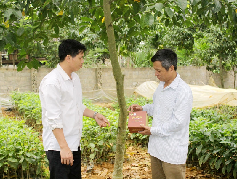 Ông Bùi Văn Bun (phải), Giám đốc HTX Chí Đạo trao đổi về mẫu mã bao bì đóng gói hạt dổi, sản phẩm OCOP của HTX với thành viên.