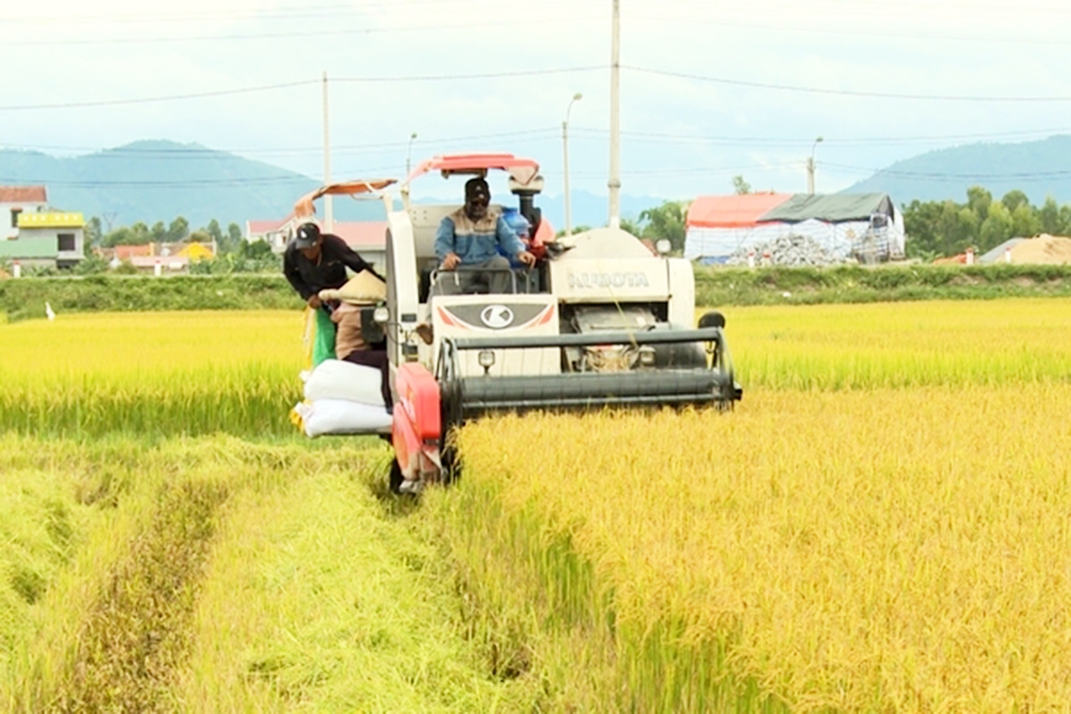 Ba Đồn sẽ tiếp tục ổn định vùng đồng bào công giáo, xây dựng khối đại đoàn kết toàn dân.