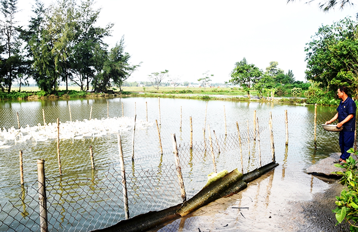 Hiệu quả công tác tôn giáo giúp nhiều giáo dân xây dựng kinh tế, vươn lên thành những điển hình.