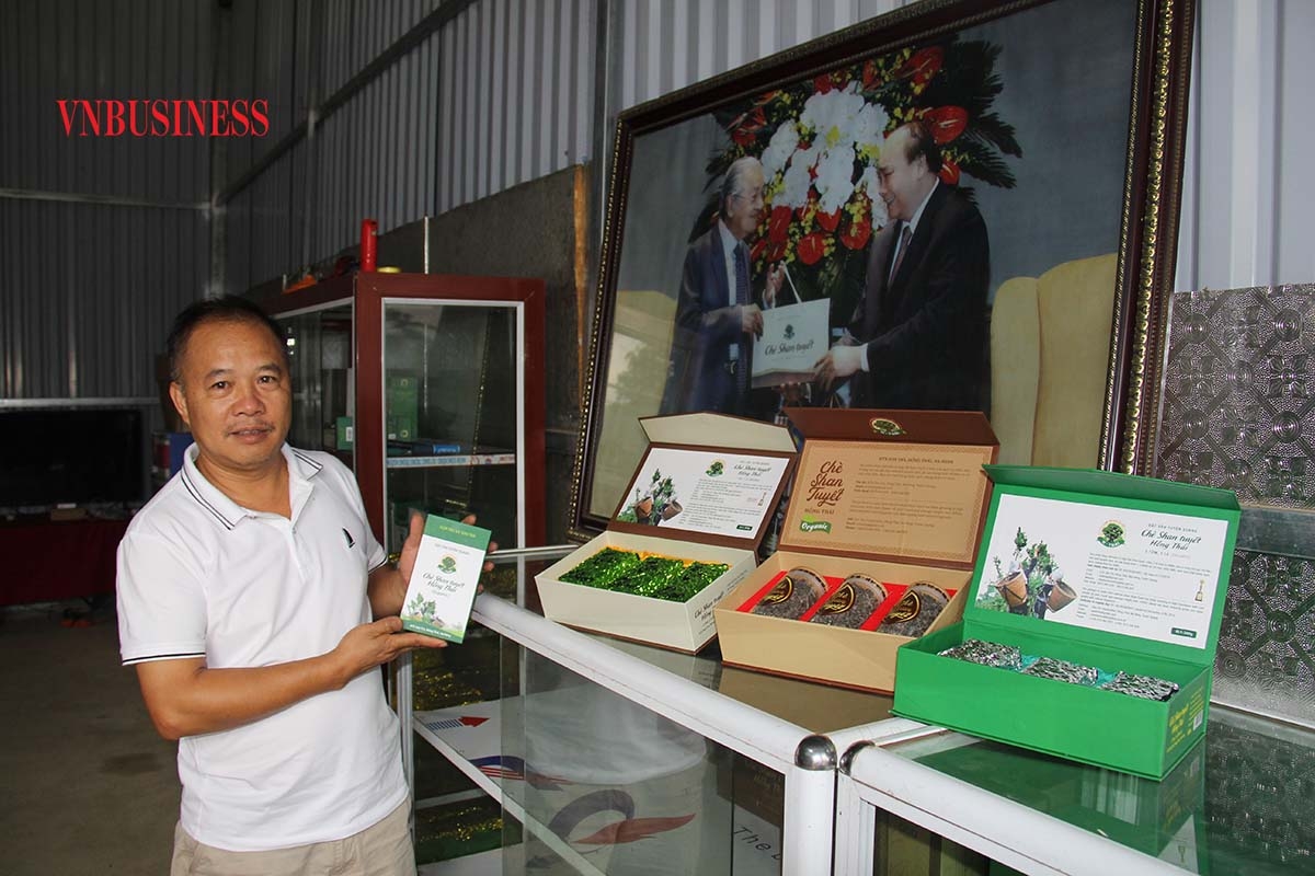 Anh Đặng Ngọc Phố, dân tộc Dao, Phó Giám đốc HTX Sơn Trà giới thiệu các sản phẩm chè Shan tuyết.