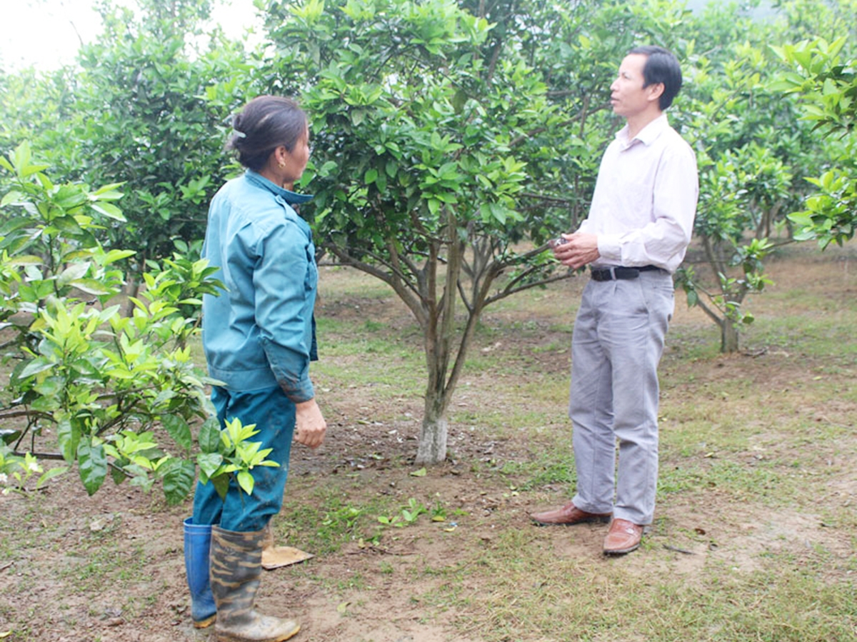 HTX Dương Nam đang là điểm tựa cho nhiều hộ nông dân trên địa bàn xã Phú Thành (Ảnh TL).