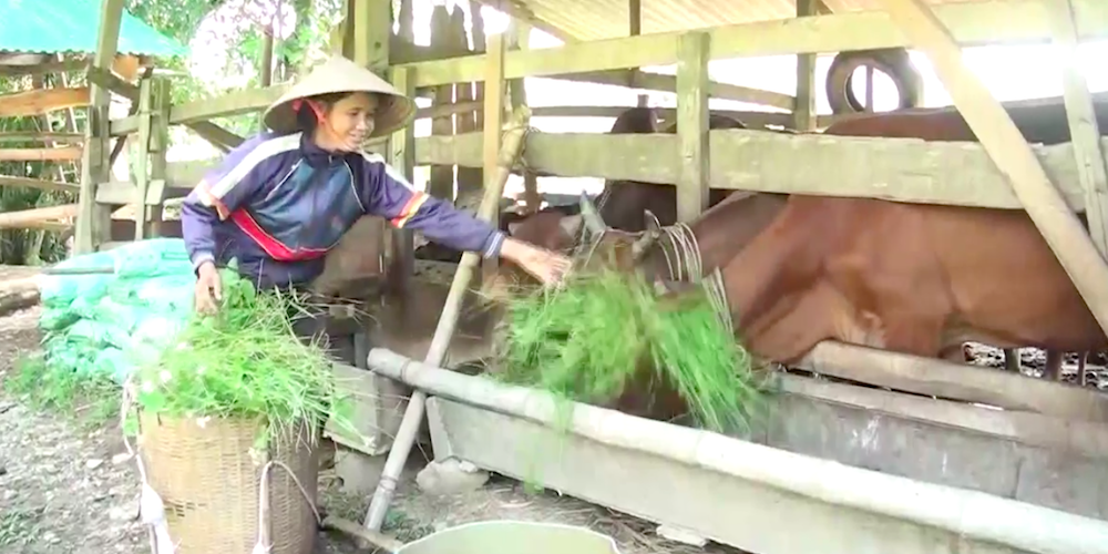 Nhiều cơ chế hỗ trợ đồng bào dân tộc thiểu số vùng biên phát triển sản xuất.
