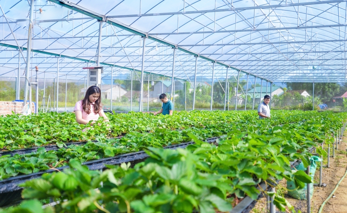 HTX đã đầu tư hàng tỷ đồng cho khoa học - công nghệ, đáp ứng nhu cầu sản xuất lớn (Ảnh TL).