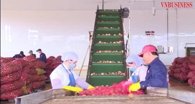 Các HTX hoạt động ổn định, phục vụ tốt cho thành viên và cộng đồng