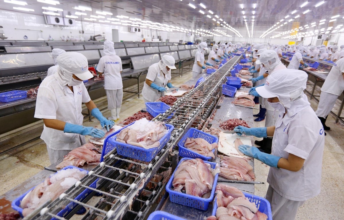Tính đến nửa đầu tháng 6/2021, tổng giá trị XK cá tra sang EU chỉ đạt 51 triệu USD, giảm 21% so với năm 2020.