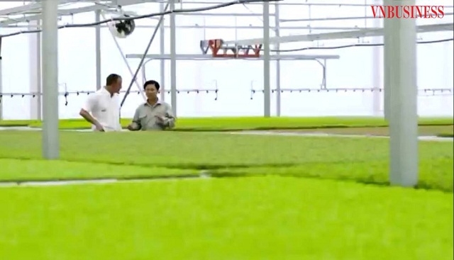 Sự phát triển của HTX đã đáp ứng được nguyện vọng của thành viên, thực hiện mục tiêu an sinh, xã hội