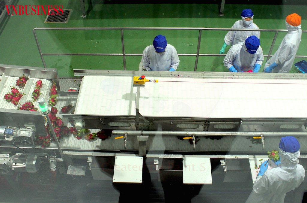 XK rau quả đông lạnh là hướng đi hiệu quả mà các DN Việt cần tận dụng tốt trong bối cảnh dịch Covid-19.