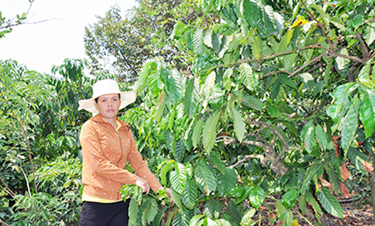 Được học nghề giúp lao động nữ trên địa bàn huyện tự tin phát triển sản xuất (Ảnh TL).