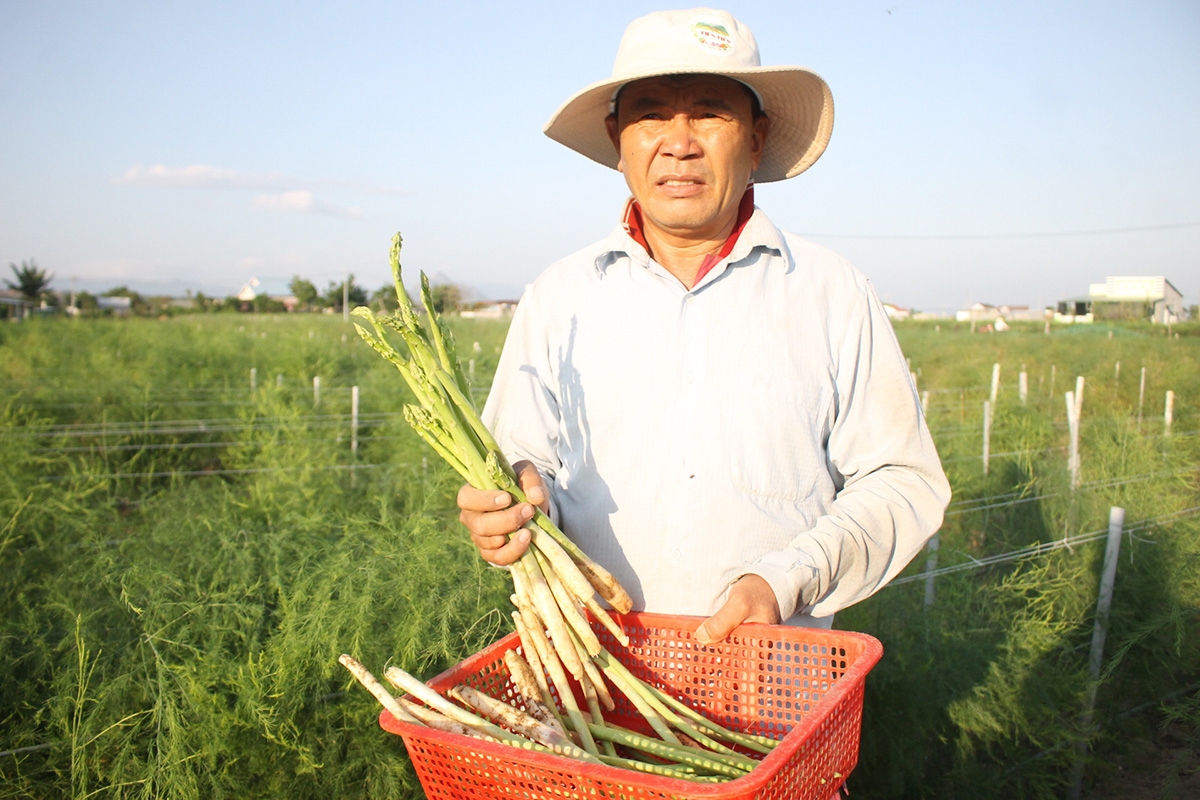 Hiệu quả từ các nguồn lực đầu tư giúp đời sống của đồng bào dân tộc Chăm ở Ninh Phước ngày càng nâng lên.