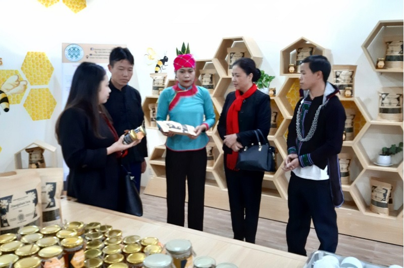 HTX Hoàng Liên đang được các cấp ngành hỗ trợ phát triển sản xuất theo hướng xanh, bền vững.