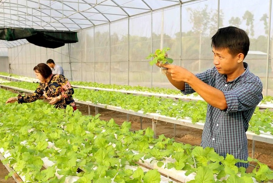 Hoàn thiện cơ chế, chính sách ưu đãi, tạo môi trường thuận lợi để thu hút DN đầu tư vào sản xuất nông nghiệp (Ảnh: Int)