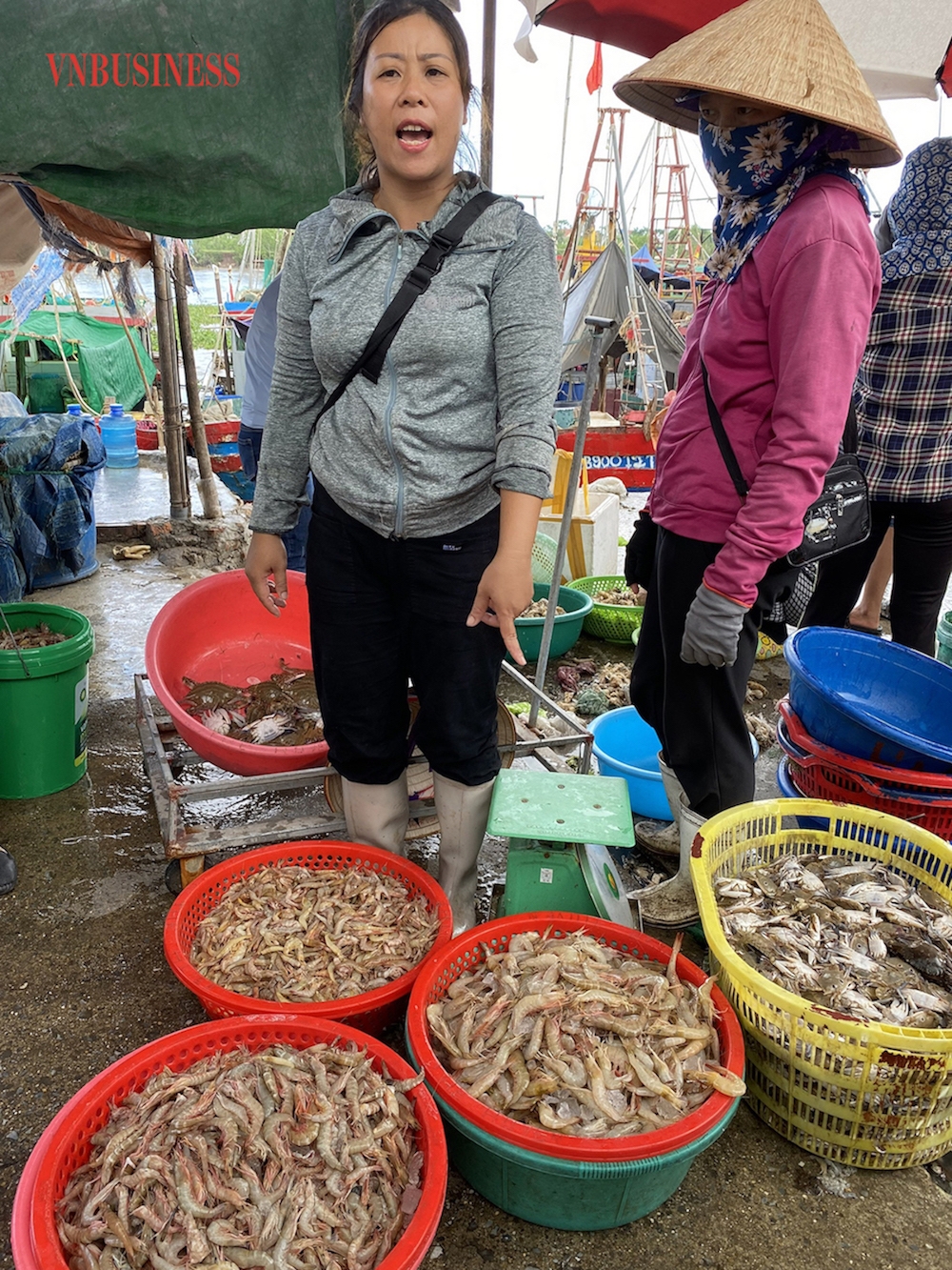 Chị Nguyễn Thị Tú đã gắn bó với cảng cá Tân Sơn được 8 năm nay. Chị cho biết, gia đình chị làm ngư nghiệp 15 năm, nhưng chưa năm nào chị thấy hàng hoá ở đây tồn đọng không bán được. Từ năm 2020, do đại dịch Covid-19, sản lượng có sụt giảm nhưng không đáng kể, hàng hoá vẫn được vận chuyển đi các tỉnh phía Bắc đều đặn hàng ngày.