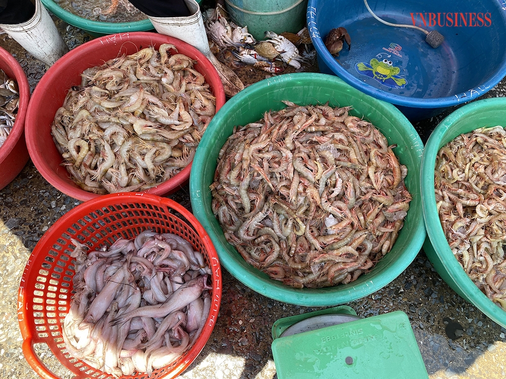 Các mặt hàng hải sản tương đối rẻ: tôm lớp loại 80-100 con/kg giá 150.000 đồng/kg, mực trứng loại 5 con/kg giá 75.000 đồng/kg, ghẹ loại 10-12 con/kg giá 150-170.000 đồng/kg, tôm he loại 10-15 con/kg giá 400.000 đồng/kg.