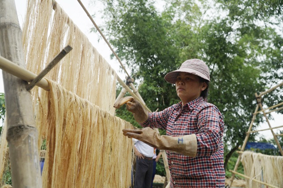 HTX đang hoạt động ổn định, tạo việc làm cho nhiều lao động nhờ sản xuất tơ chuối thân thiện môi trường (Ảnh TL).
