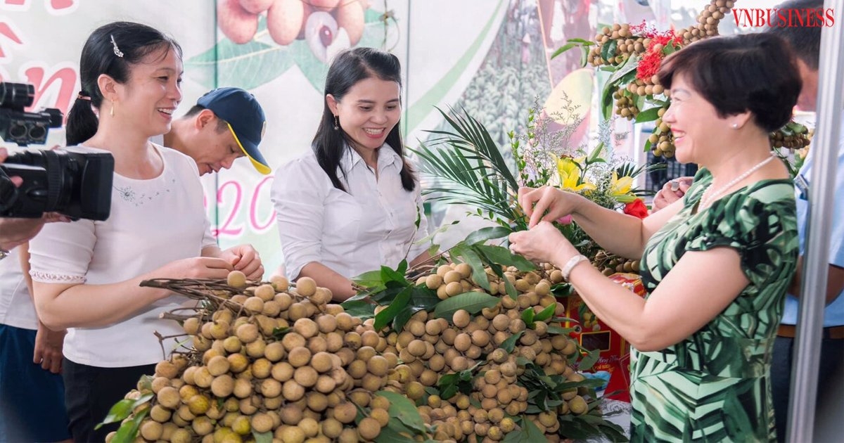 HTX đã chủ động giới thiệu sản phẩm nhãn Miền Thiết sang các thị trường như: Úc, Hàn Quốc, Nhật Bản...