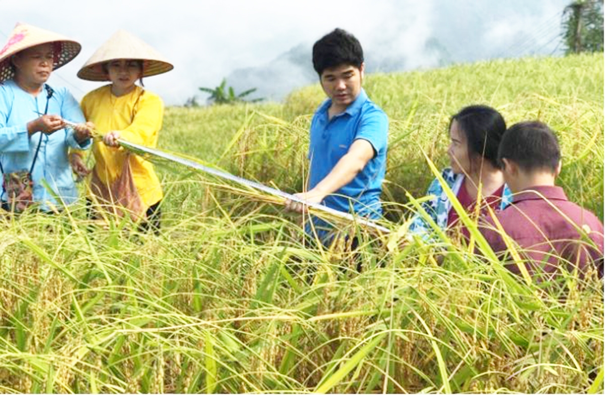 Cao Bằng sẽ đẩy mạnh các nguồn lực hỗ trợ phát triển nông nghiệp thông minh (Ảnh TL).