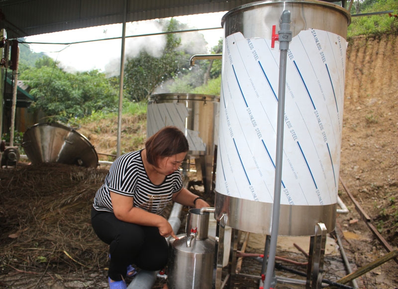 Chị Vi Thùy Dương, Giám đốc HTX Hương Ngàn kiểm tra sản phẩm tinh dầu quýt từ nồi chưng cất.