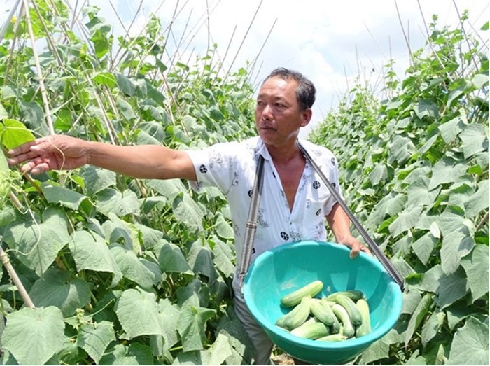 Sản xuất đi đôi với bảo vệ môi trường là xu thế tất yếu.