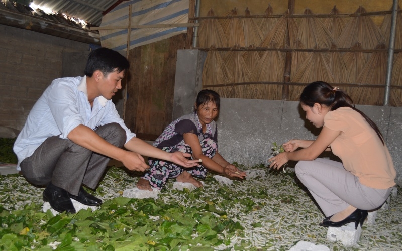 Phát triển nghề trồng dâu, nuôi tằm nâng cao cuộc sống cho người dân, đặc biệt là đồng bào dân tộc thiểu số.