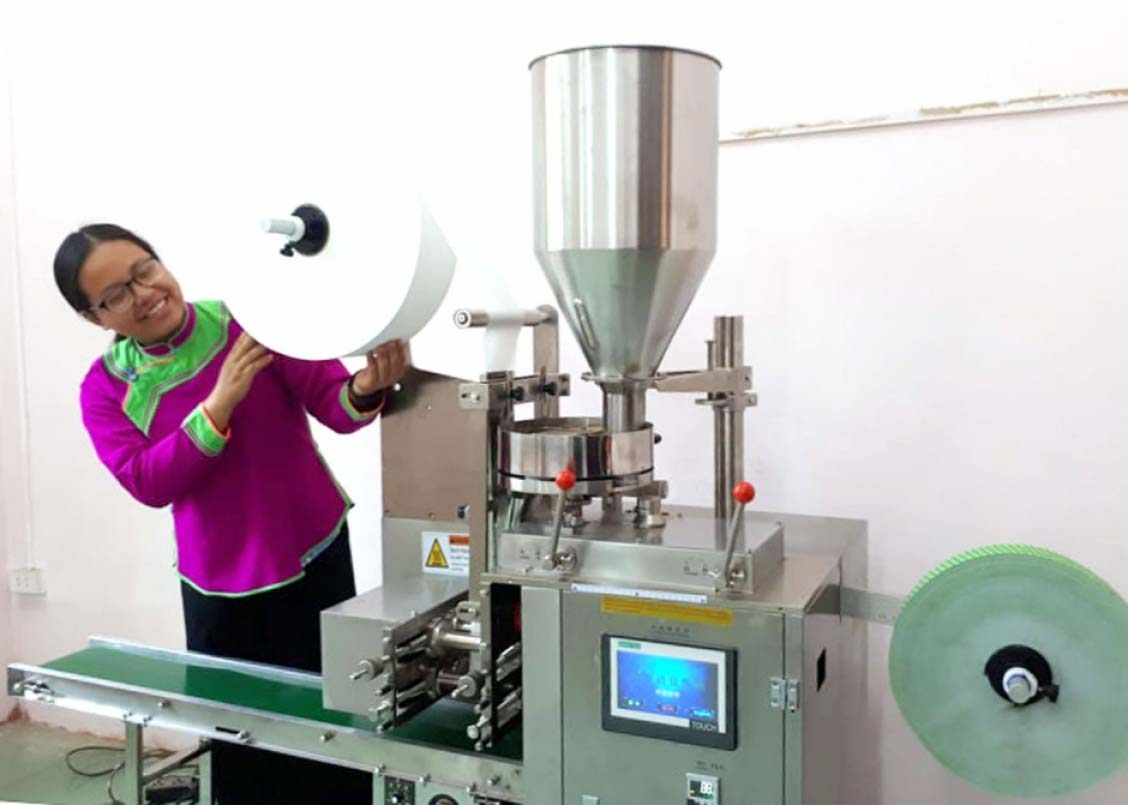 Chị Vũ Thị Nhung, Giám đốc HTX Mản Thẩn cho biết, đầu tư máy móc để sản xuất, chế biến các sản phẩm trà túi lọc tam thất, bột tam thất để nâng cao giá trị.