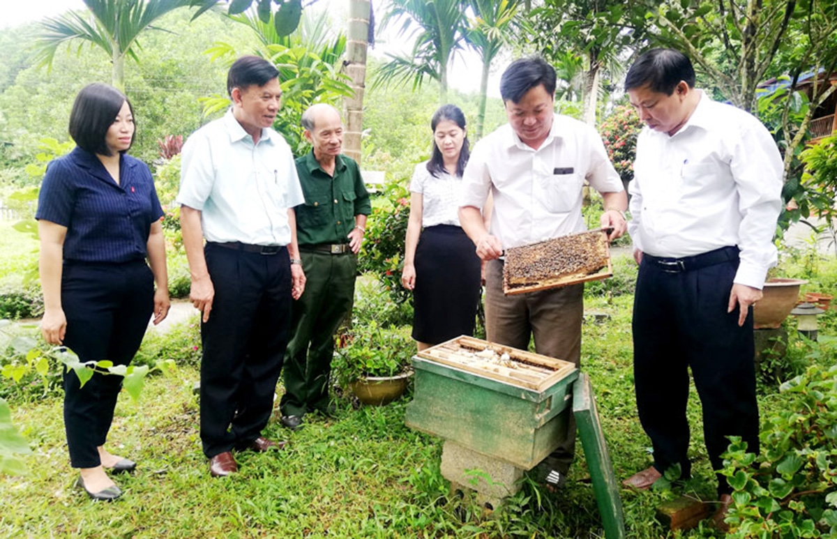 Mô hình nuôi ong mật ở Ôn Lương đang phát triển tích cực với sự tham gia của HTX (Ảnh TL).