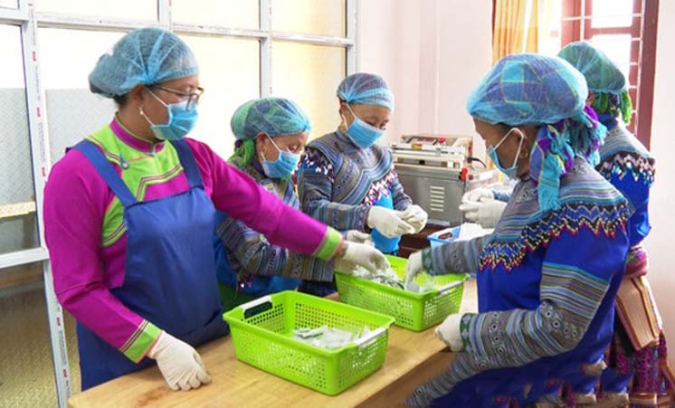 Thành viên HTX Mản Thẩn đóng gói các sản phẩm chế biến từ cây dược liệu.