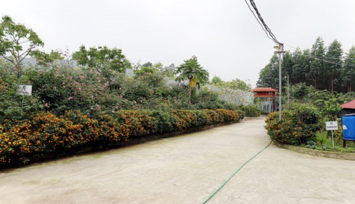 Lối vào trang trại chăn nuôi lợn nhưng đẹp không khác gì khu sinh thái vì có nhiều hoa, cây cảnh.