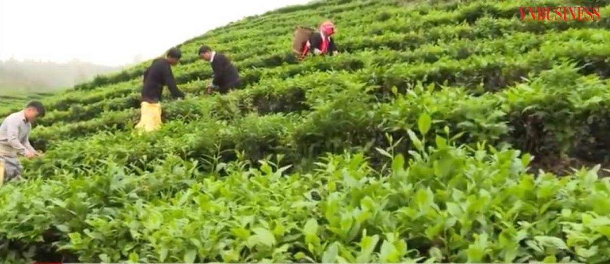 Các dự án KHCN vùng DTTS làm tăng lòng tin của nhân dân đối với chủ trương, đường lối của Đảng và Nhà nước